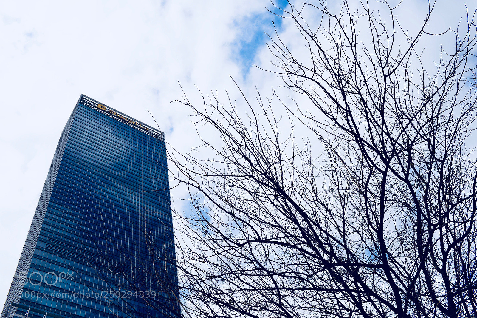Nikon D610 sample photo. 杂乱 photography