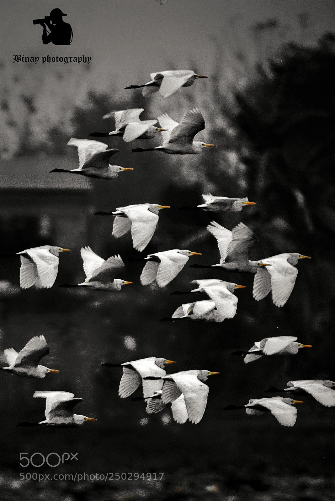 Nikon D7100 sample photo. Untitled photography