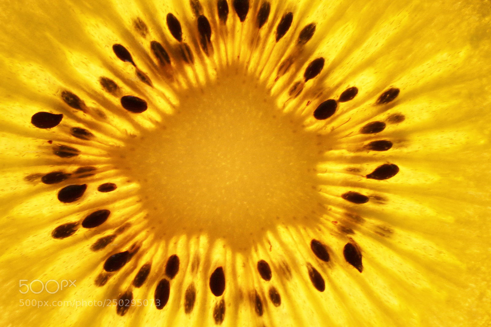 Canon EOS 70D sample photo. Sun vitamin photography