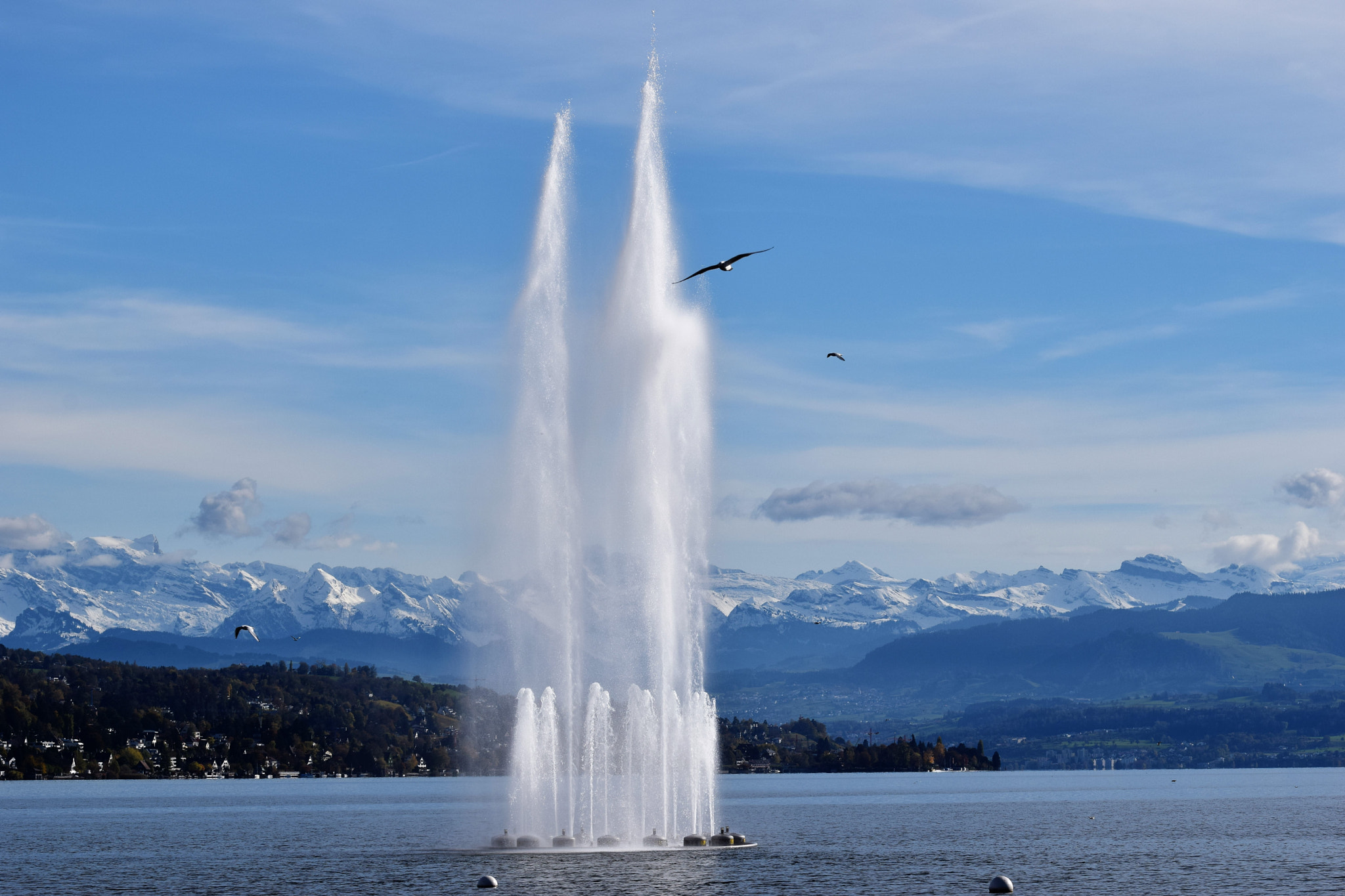 Nikon D3300 sample photo. Lake zurich photography