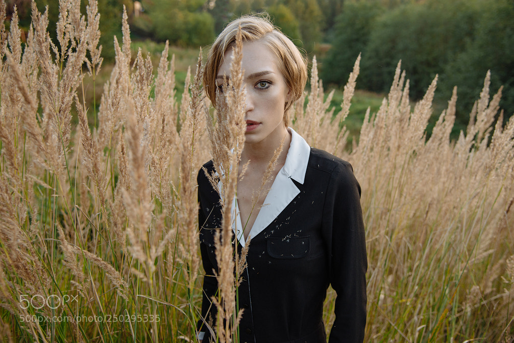Nikon D800 sample photo. Field photography