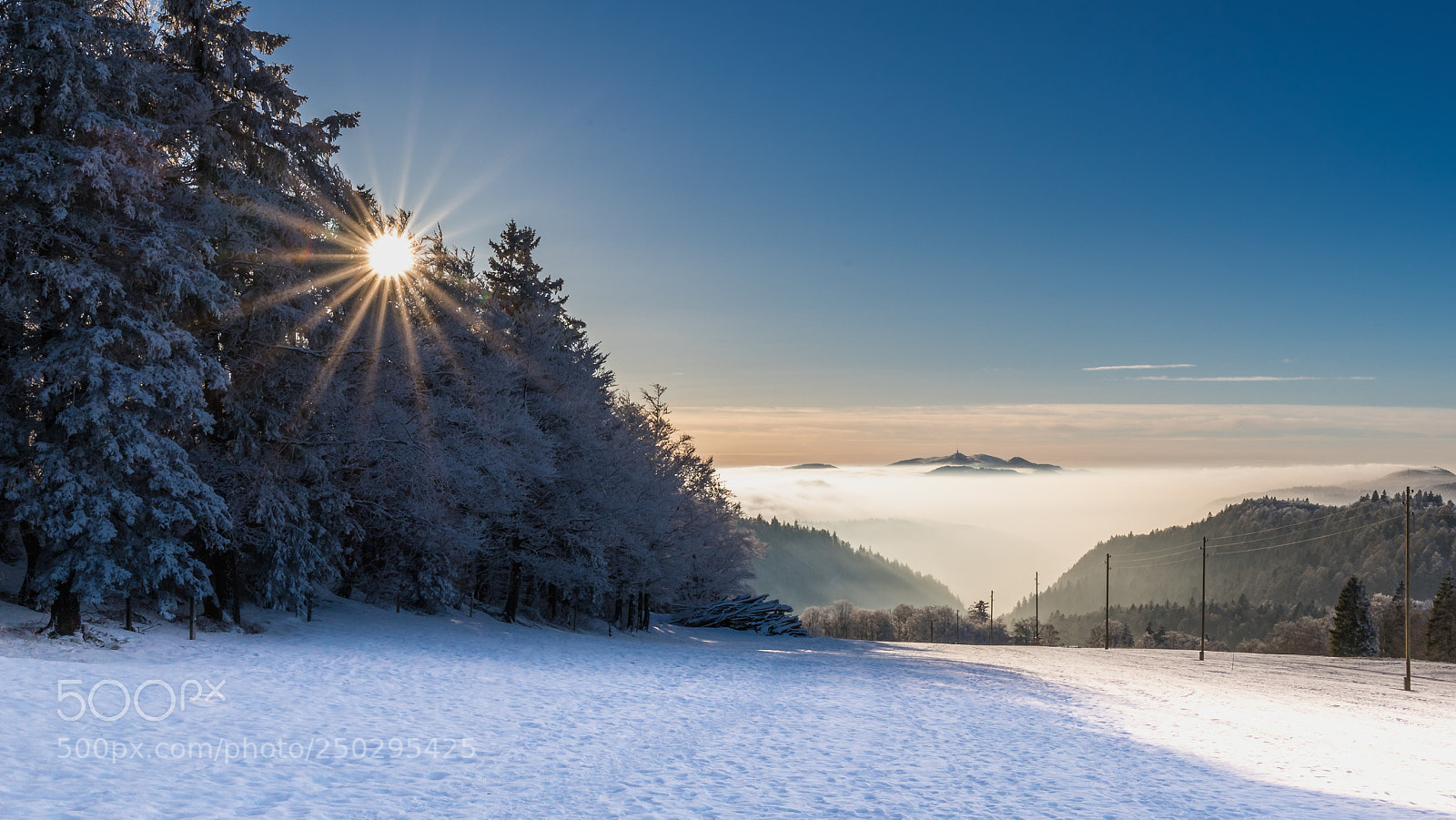 Canon EOS 6D Mark II sample photo. Blendstern grenchenberg photography