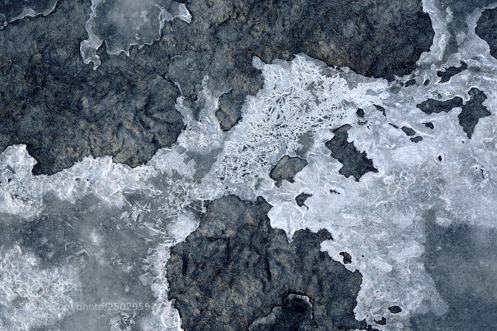 Nikon D7500 sample photo. Frozen structures photography