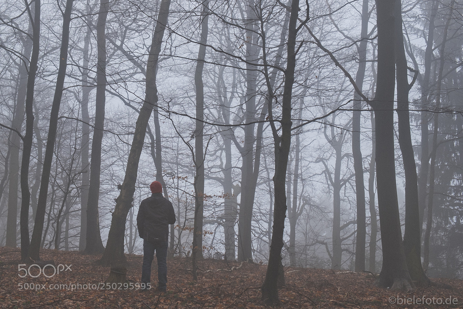 Fujifilm X-T20 sample photo. Alone in the foggy photography