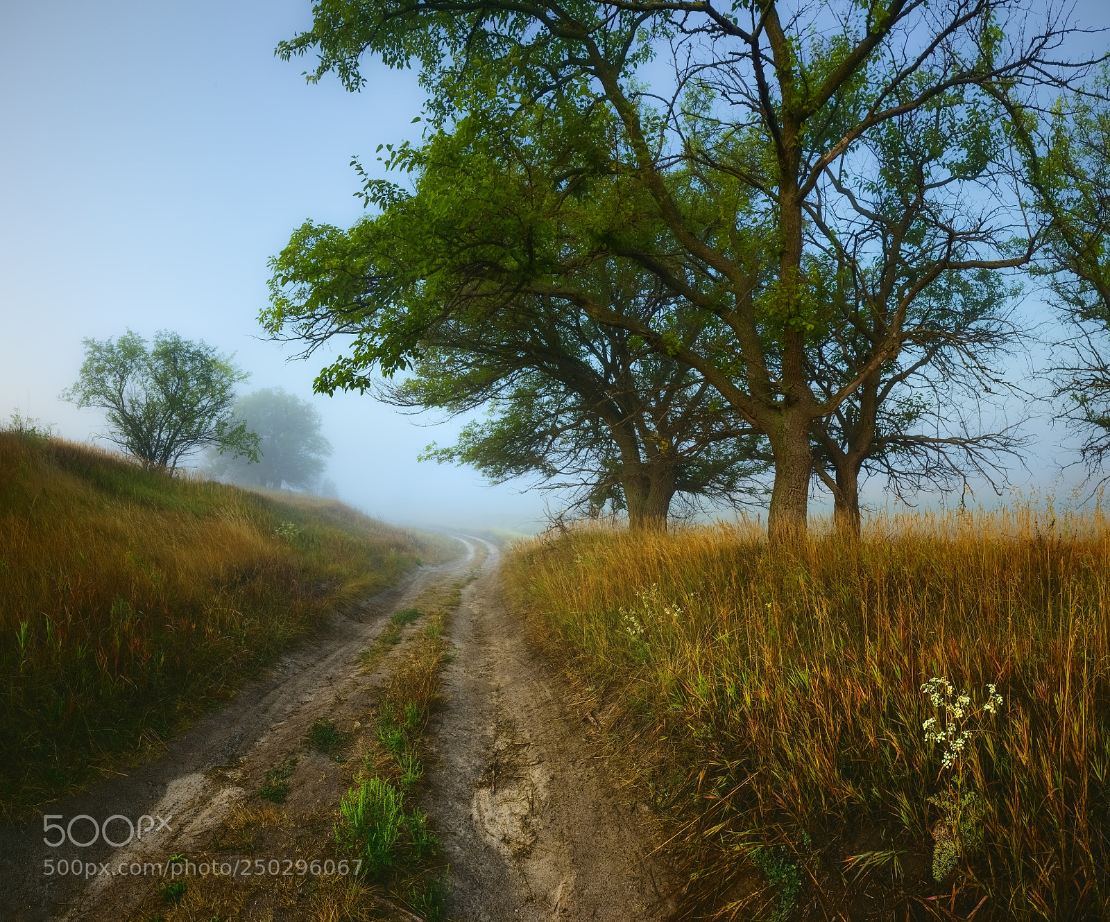Fujifilm X-E1 sample photo. Countryroad photography