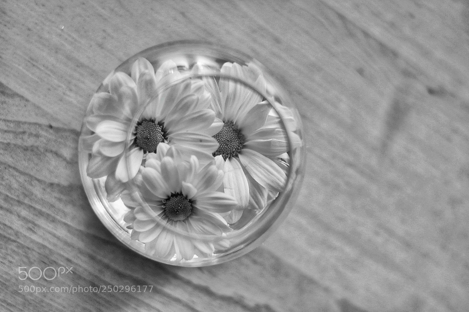 Nikon D90 sample photo. Tender photography