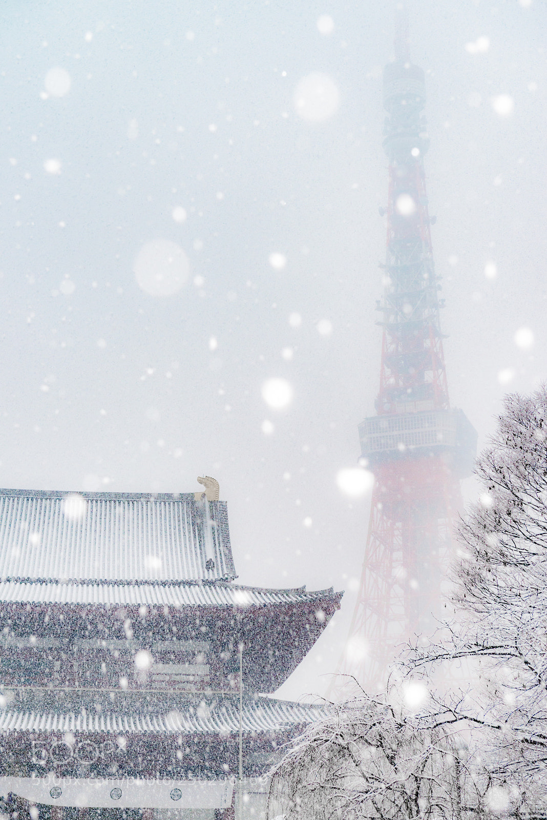 Nikon D800 sample photo. Temple & snow photography