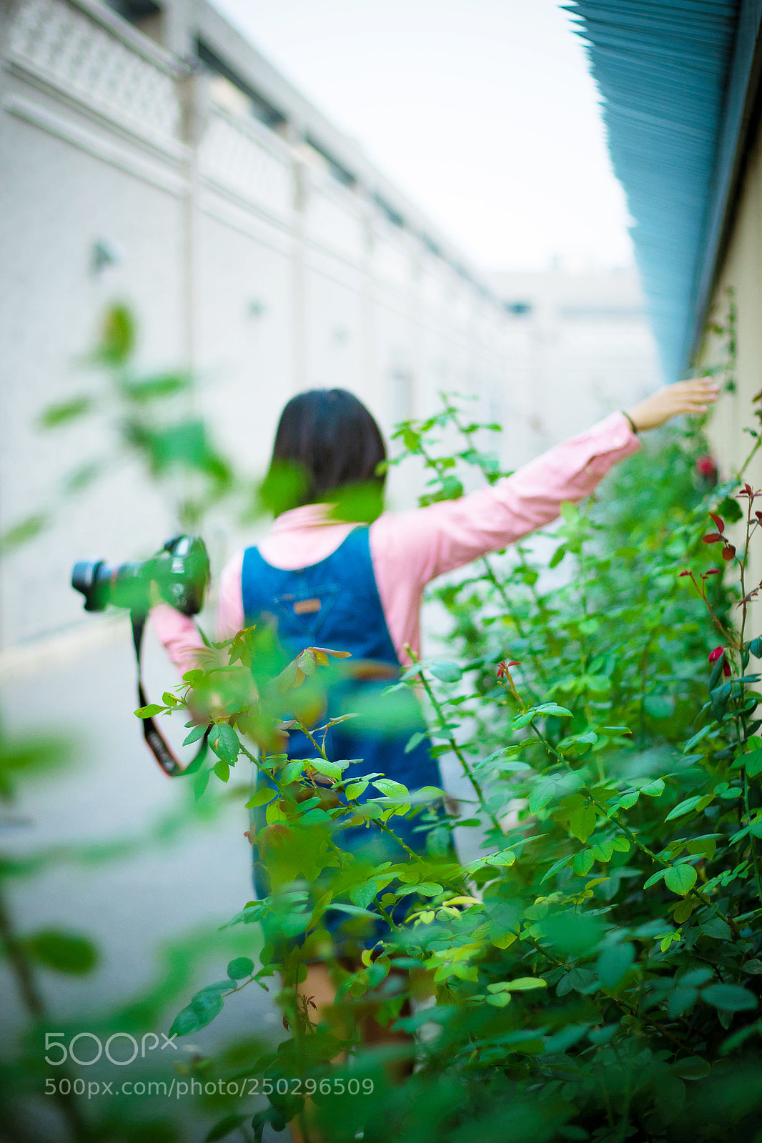 Canon EOS 60D sample photo. Weekend photography