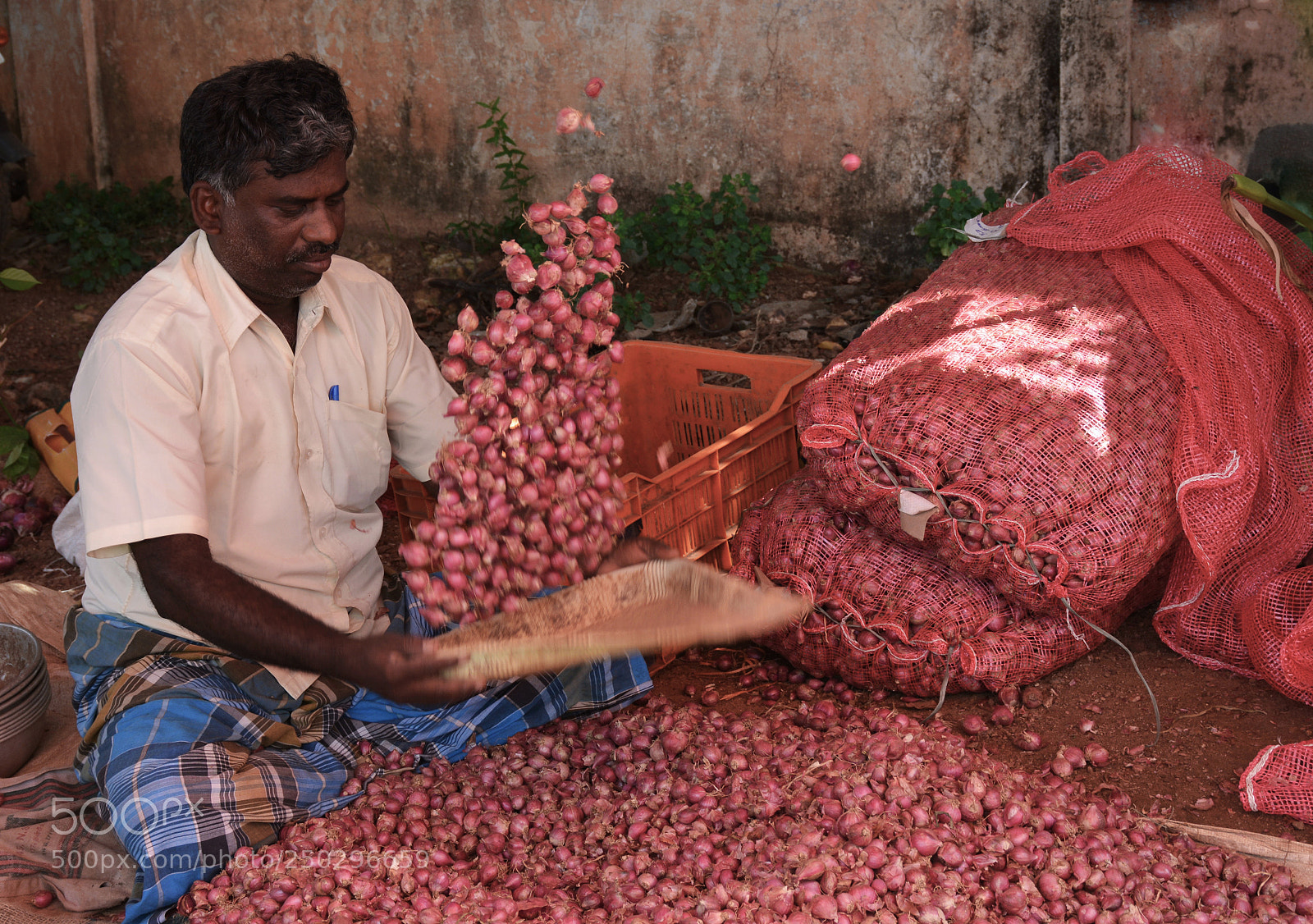 Nikon D7100 sample photo. Flying onions .. ....weekly photography