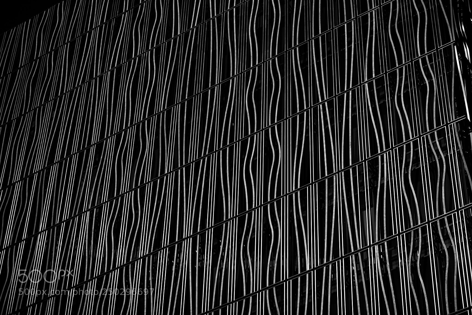 Nikon D800 sample photo. Wall photography