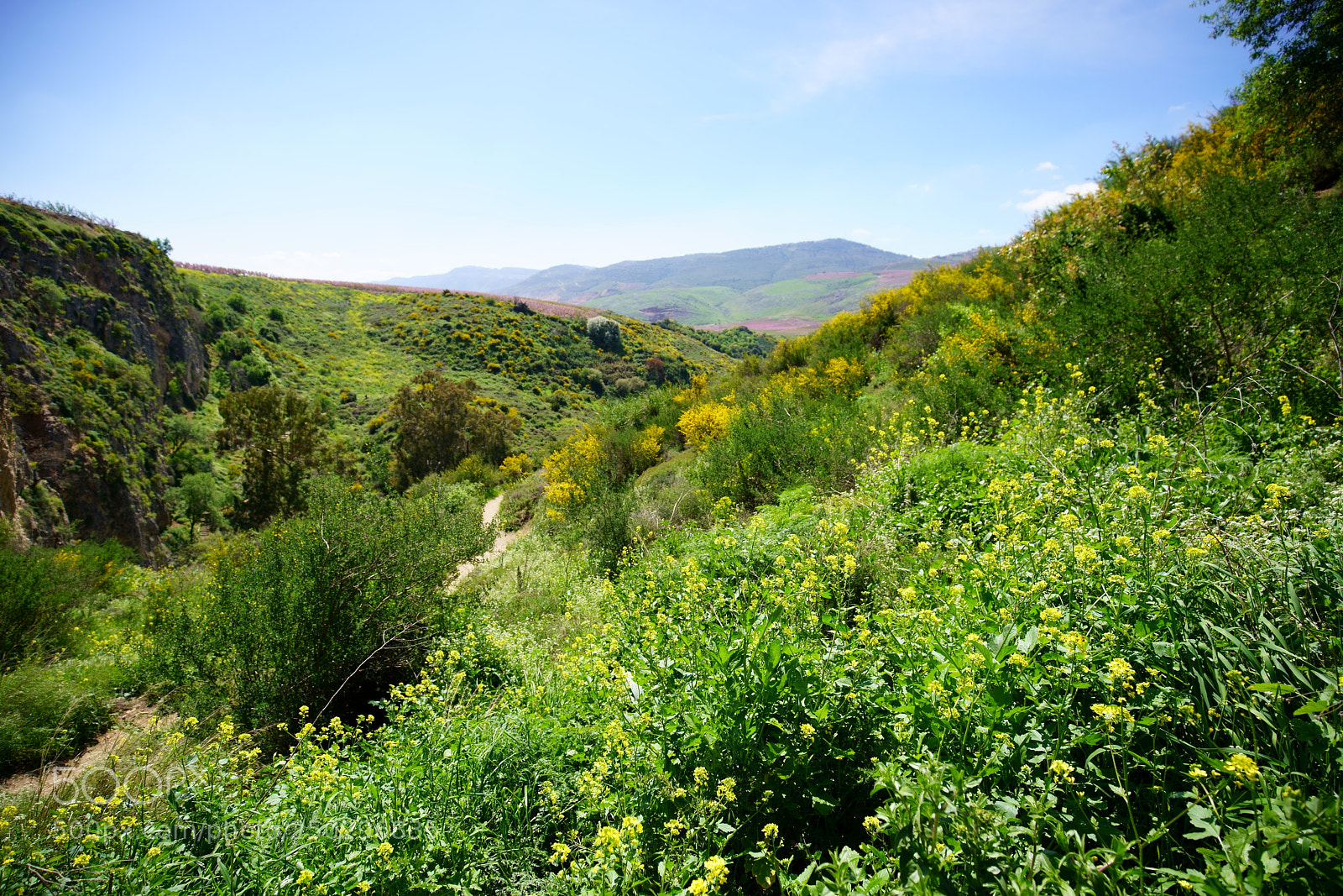 Sony a7R II sample photo. Valley photography