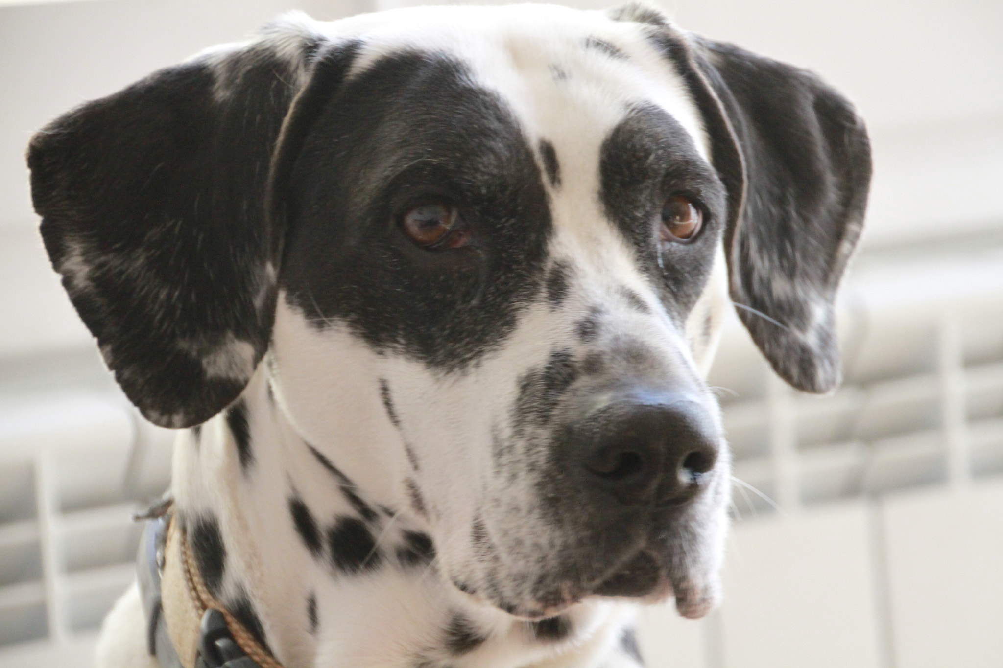 Canon EOS 7D sample photo
