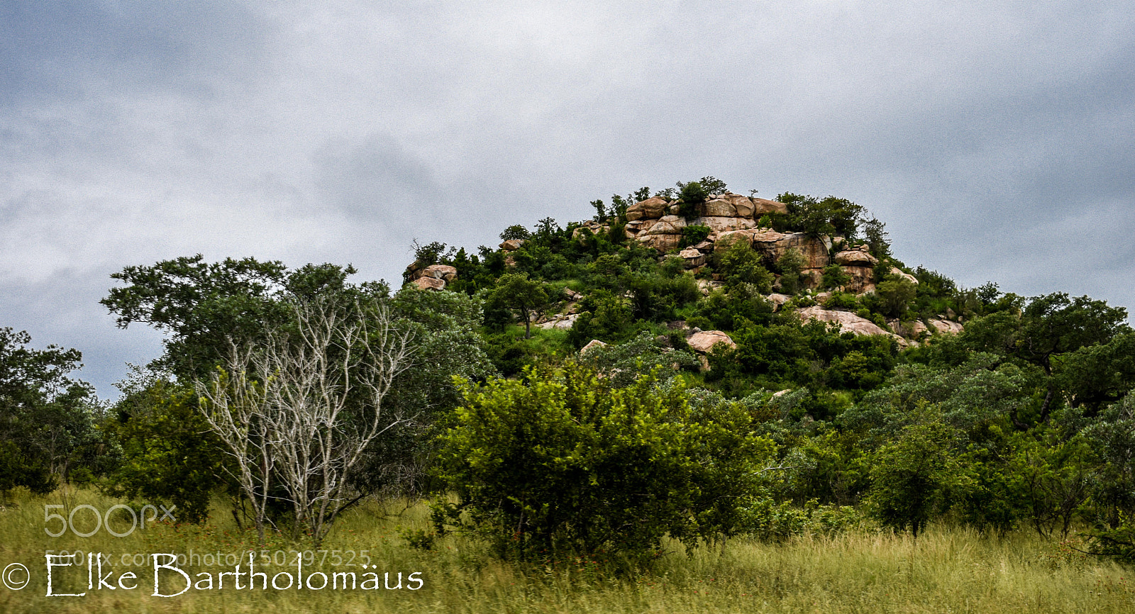 Nikon D3400 sample photo. Rocks, trees and sky photography