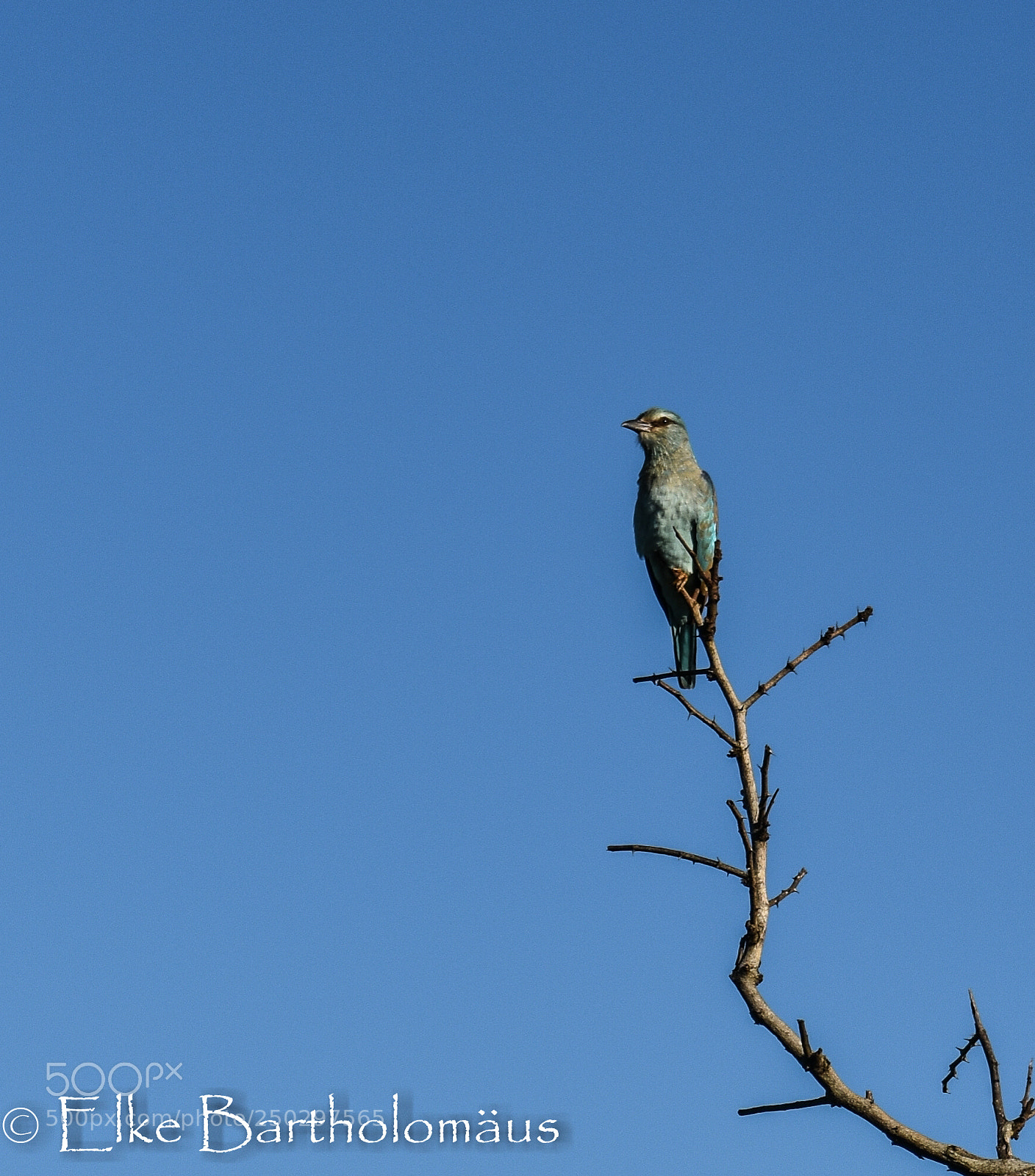 Nikon D3400 sample photo. Looking for news photography