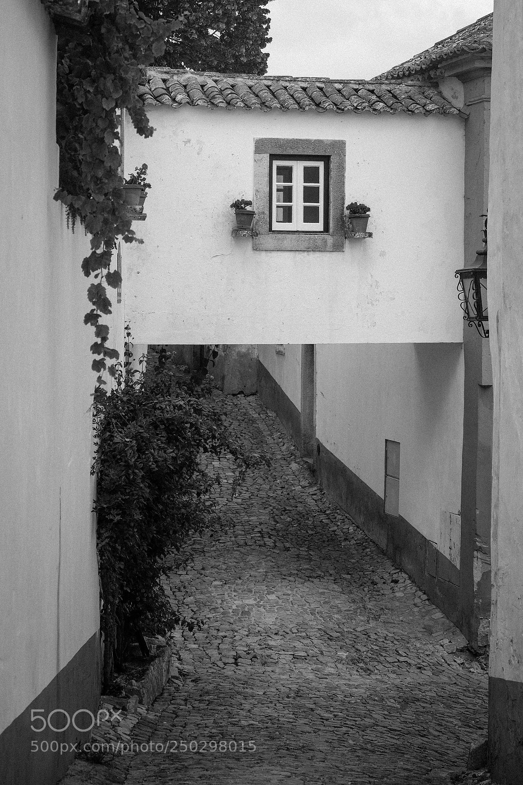 Fujifilm X-T1 sample photo. Obidos photography