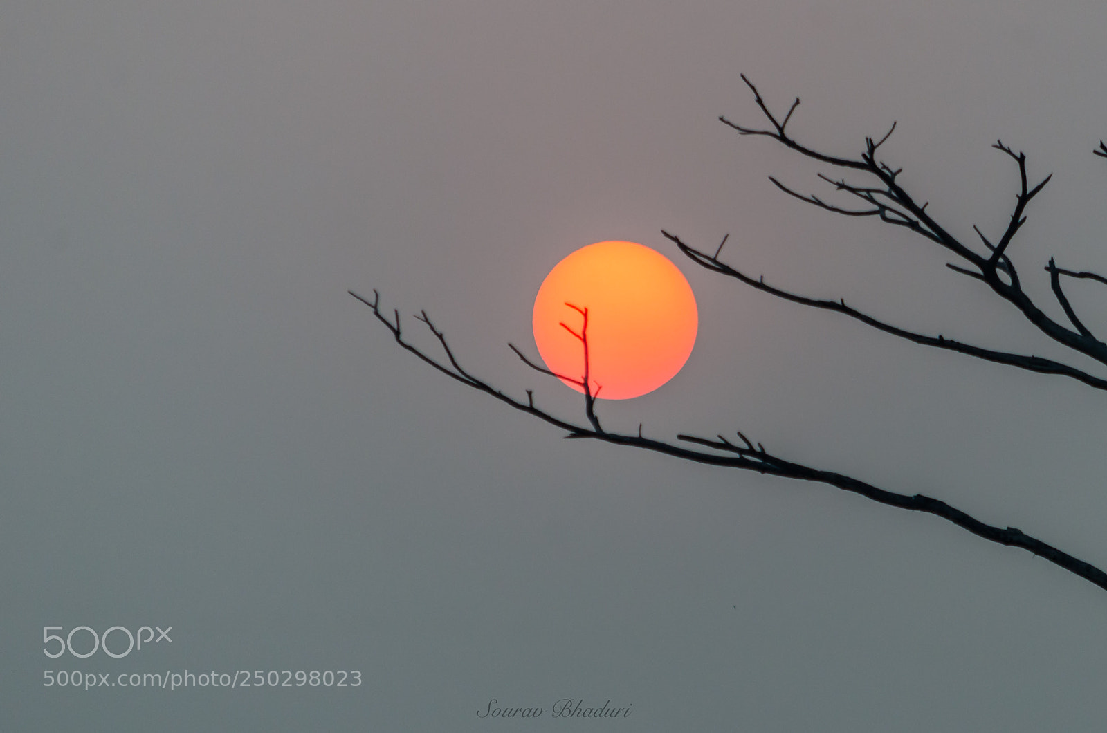 Nikon D7000 sample photo. Nature photography