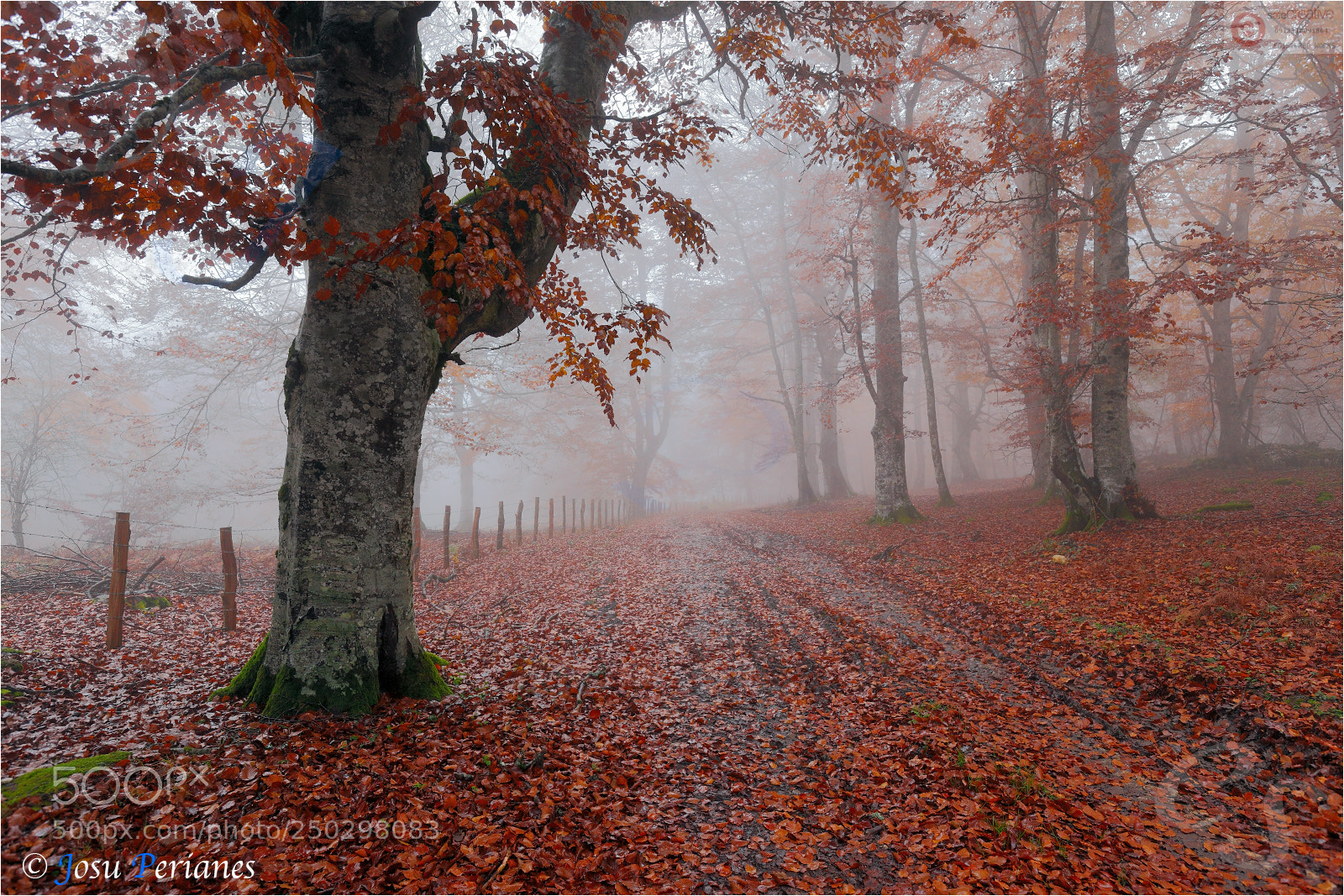 Canon EOS 5D Mark II sample photo. Rincones de otoño photography