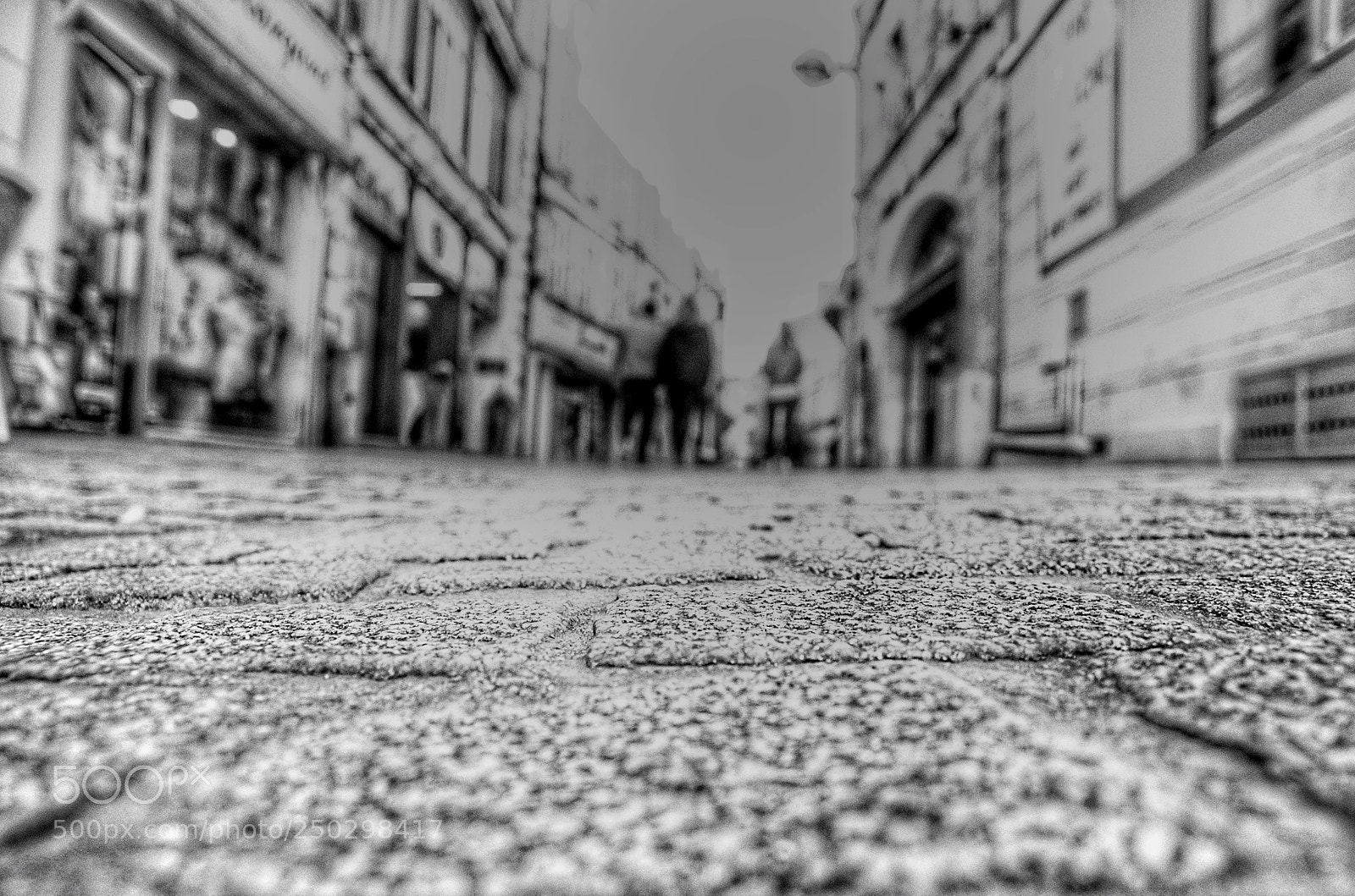 Pentax K-50 sample photo. Untitled photography