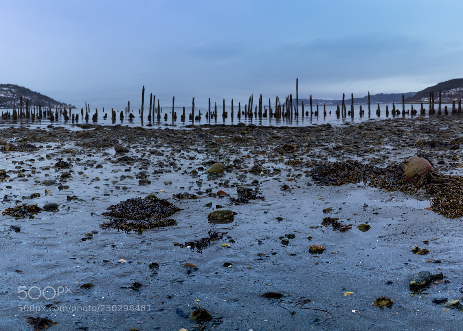 Sony a7R sample photo. Trondheimsfjorden photography