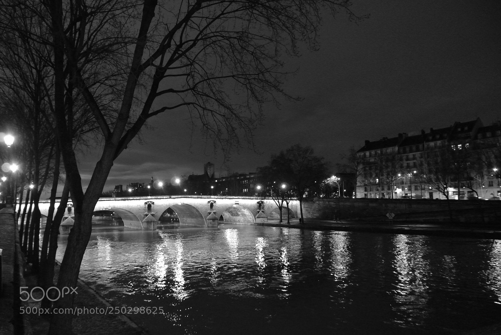 Nikon 1 V1 sample photo. La seine, la nuit. photography