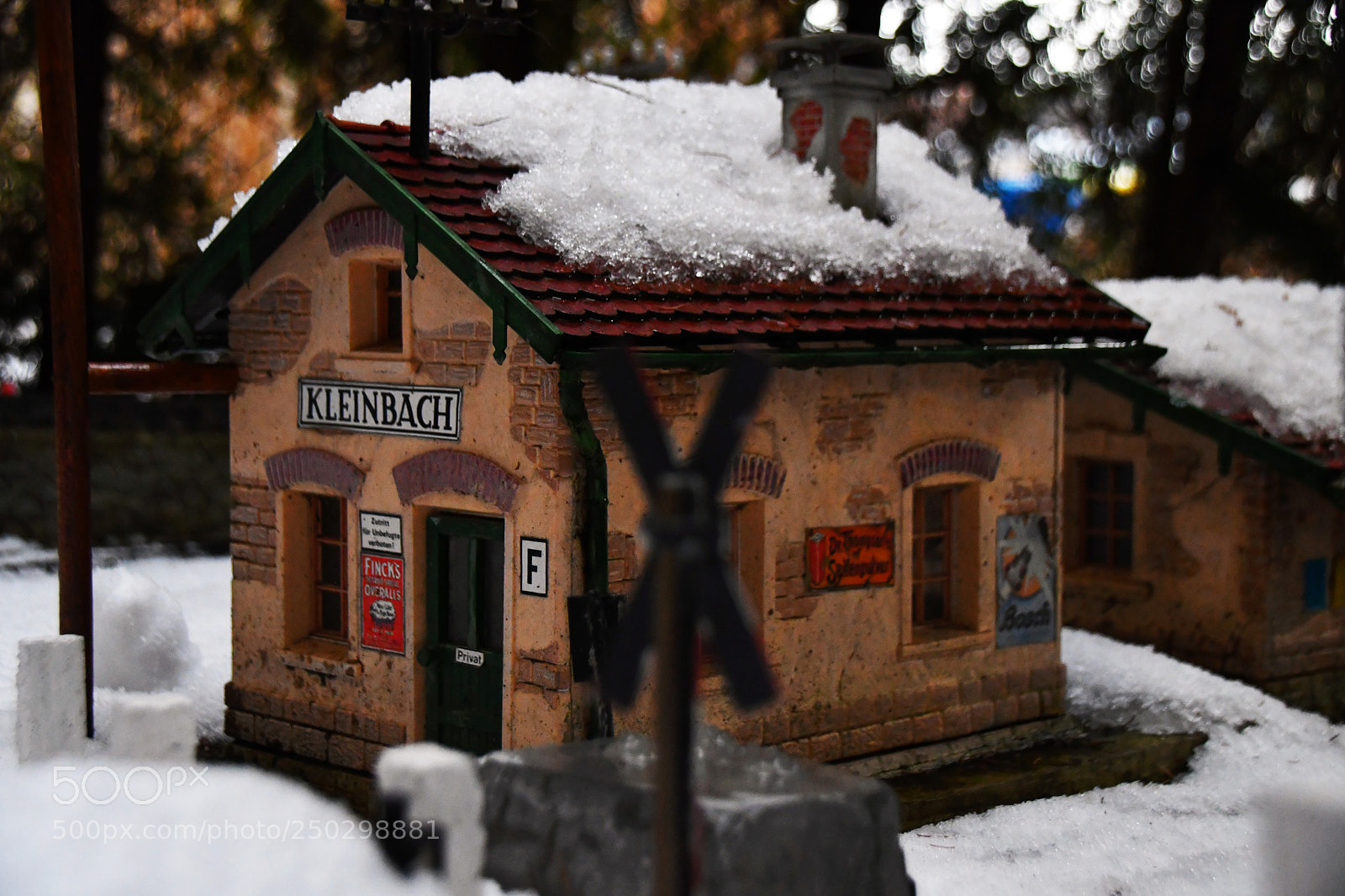 Nikon D500 sample photo. Miniatur 2 photography