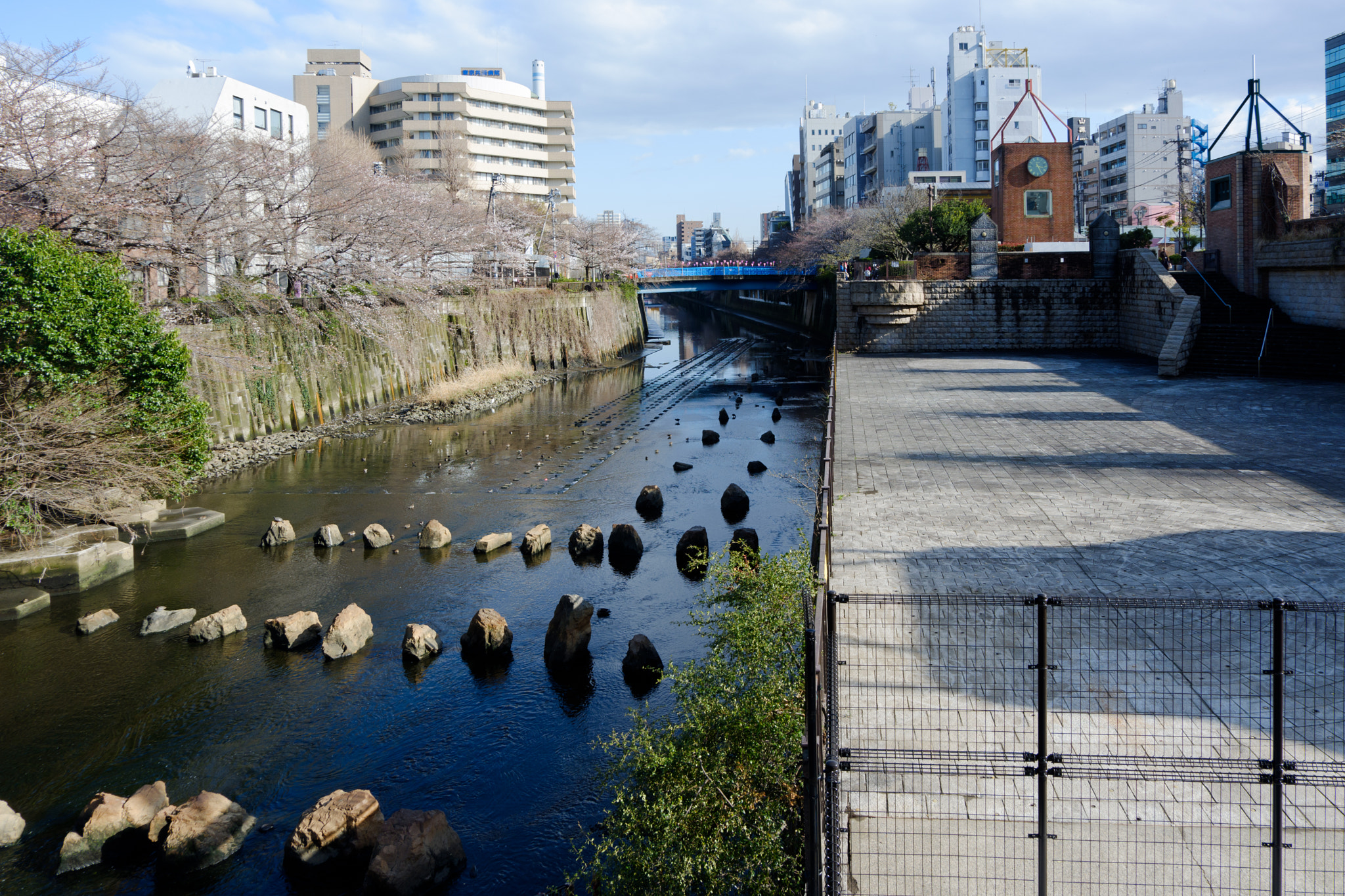 Fujifilm X-A3 sample photo. Sakura view of meguro-kawa photography