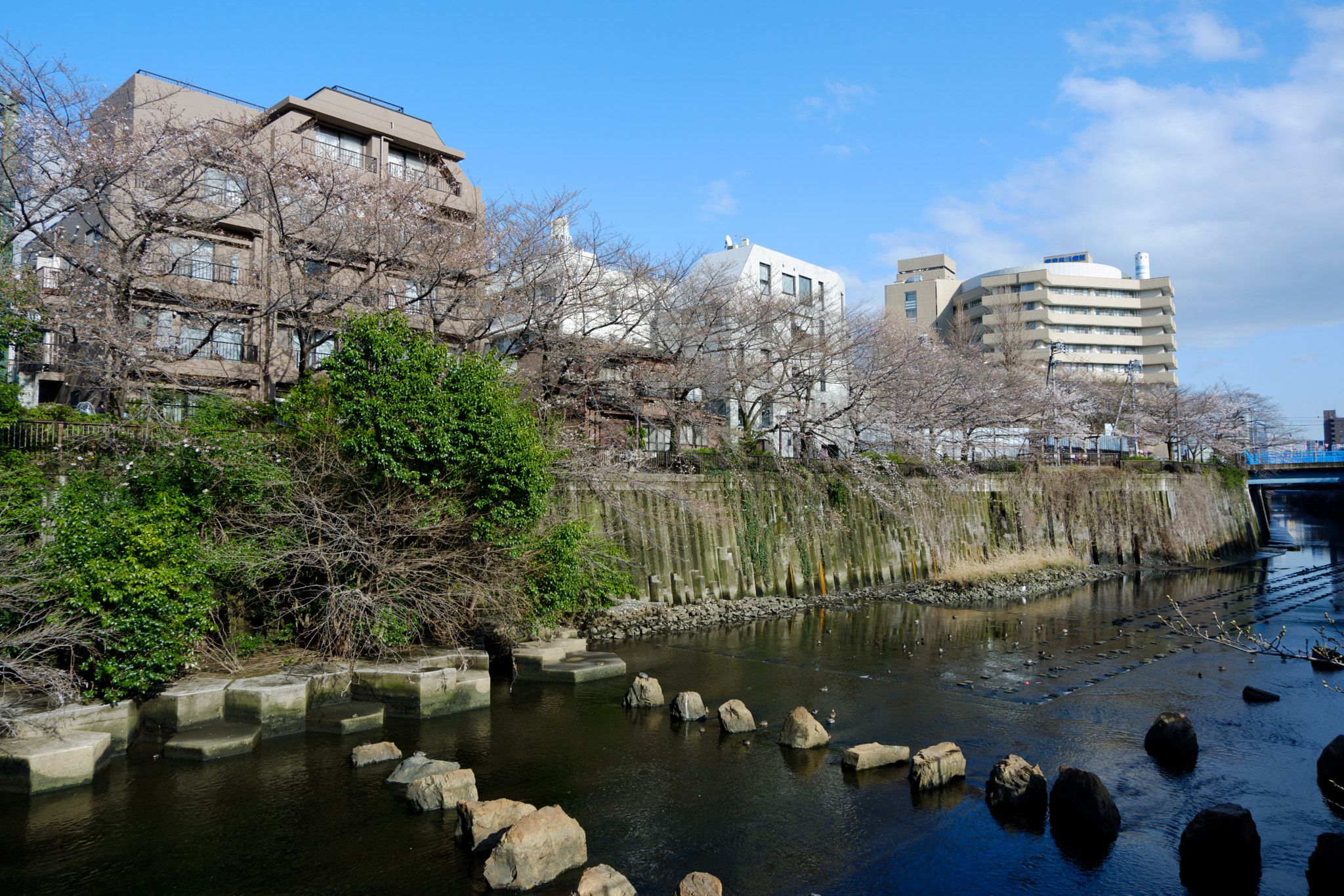 Fujifilm X-A3 sample photo. Sakura view of meguro-kawa photography