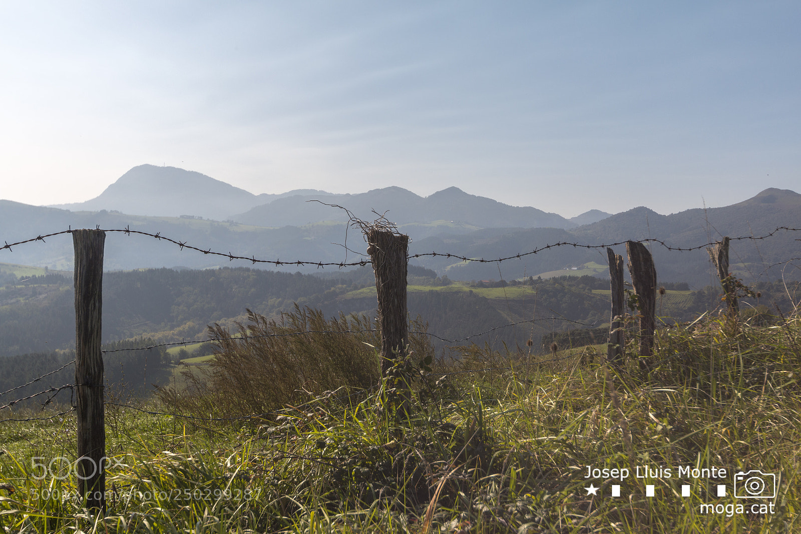 Canon EOS 70D sample photo. Sakoneta photography