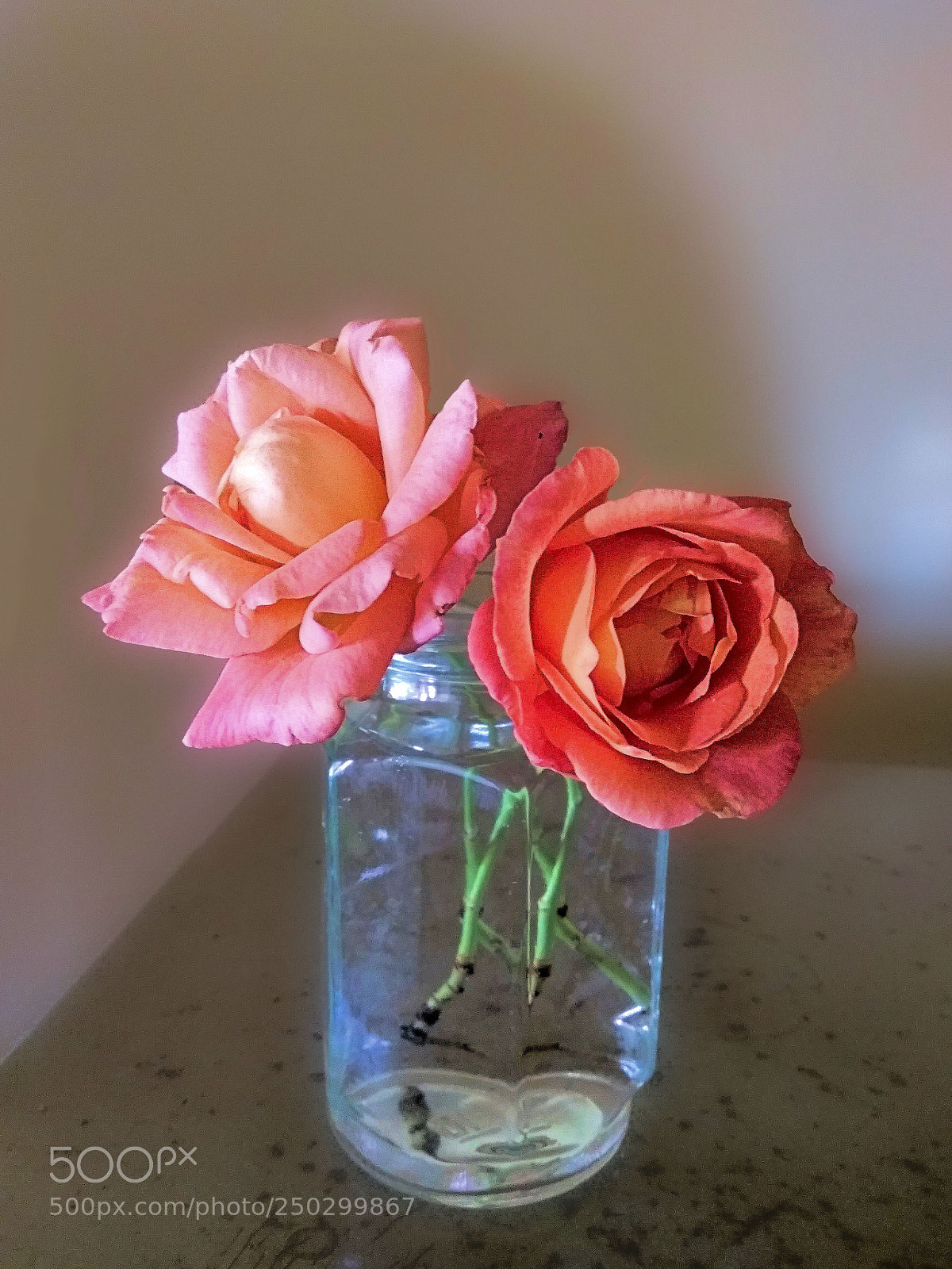 Xiaomi Redmi Note3 sample photo. Spring scent photography