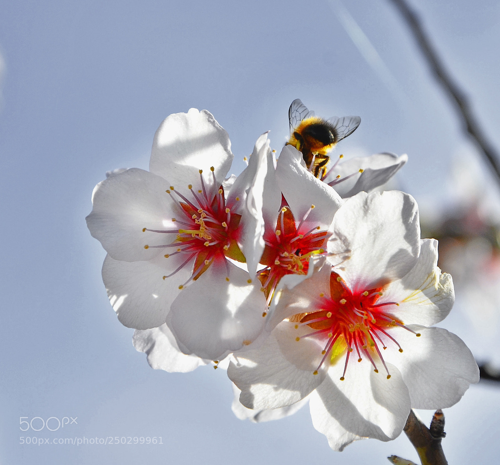 Nikon D7000 sample photo. Spring time photography