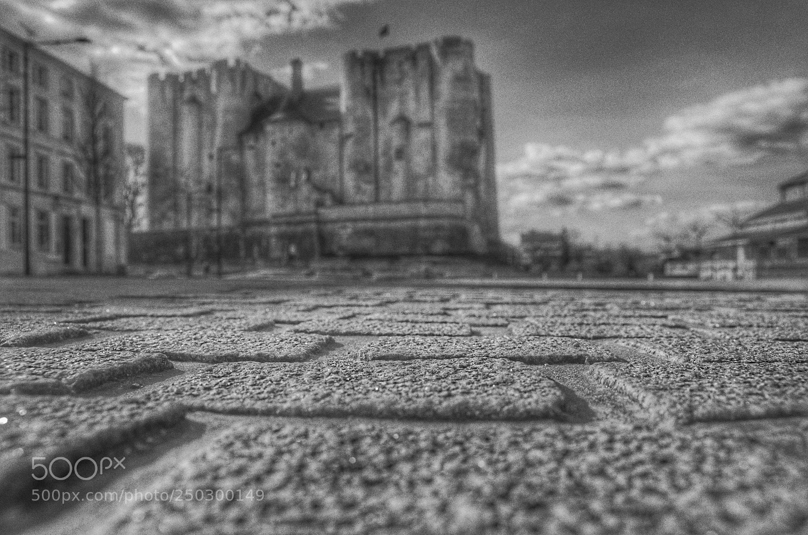 Pentax K-50 sample photo. Untitled photography