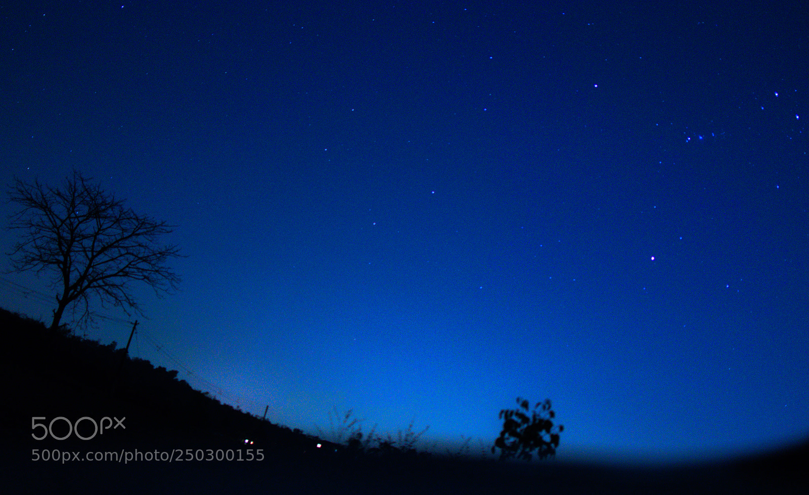 Nikon D5300 sample photo. Night skyline photography