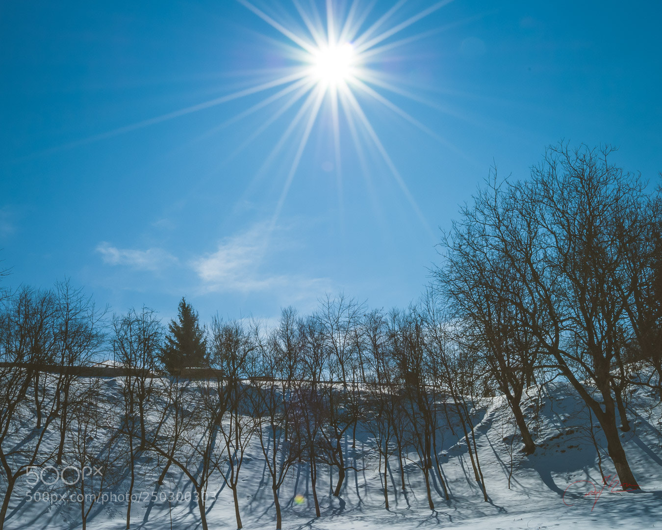 Nikon D3000 sample photo. Spring photography