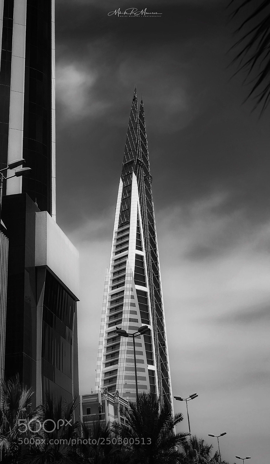 Nikon D610 sample photo. Bwtc on the other photography