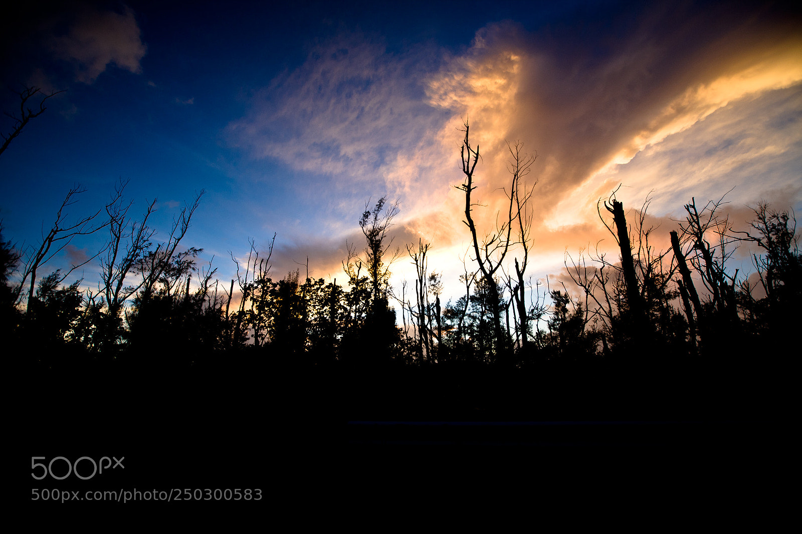 Canon EOS 5D sample photo. Sunset in ishigaki island photography