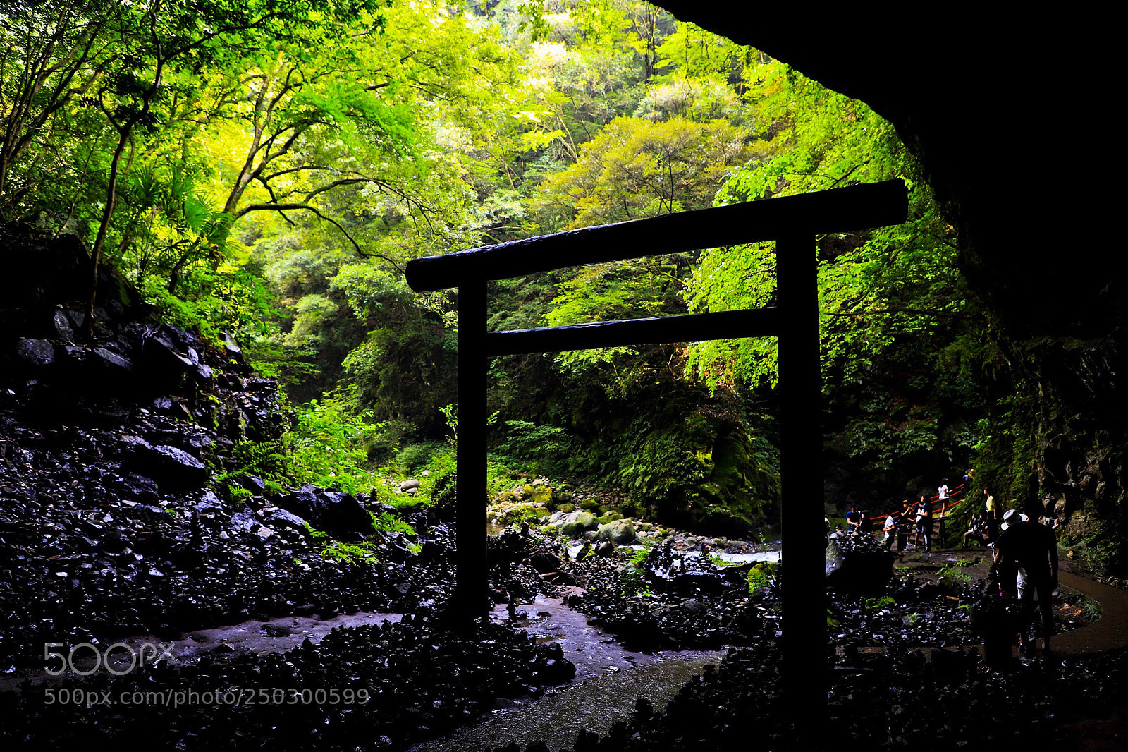 Canon EOS 6D Mark II sample photo. Torii photography