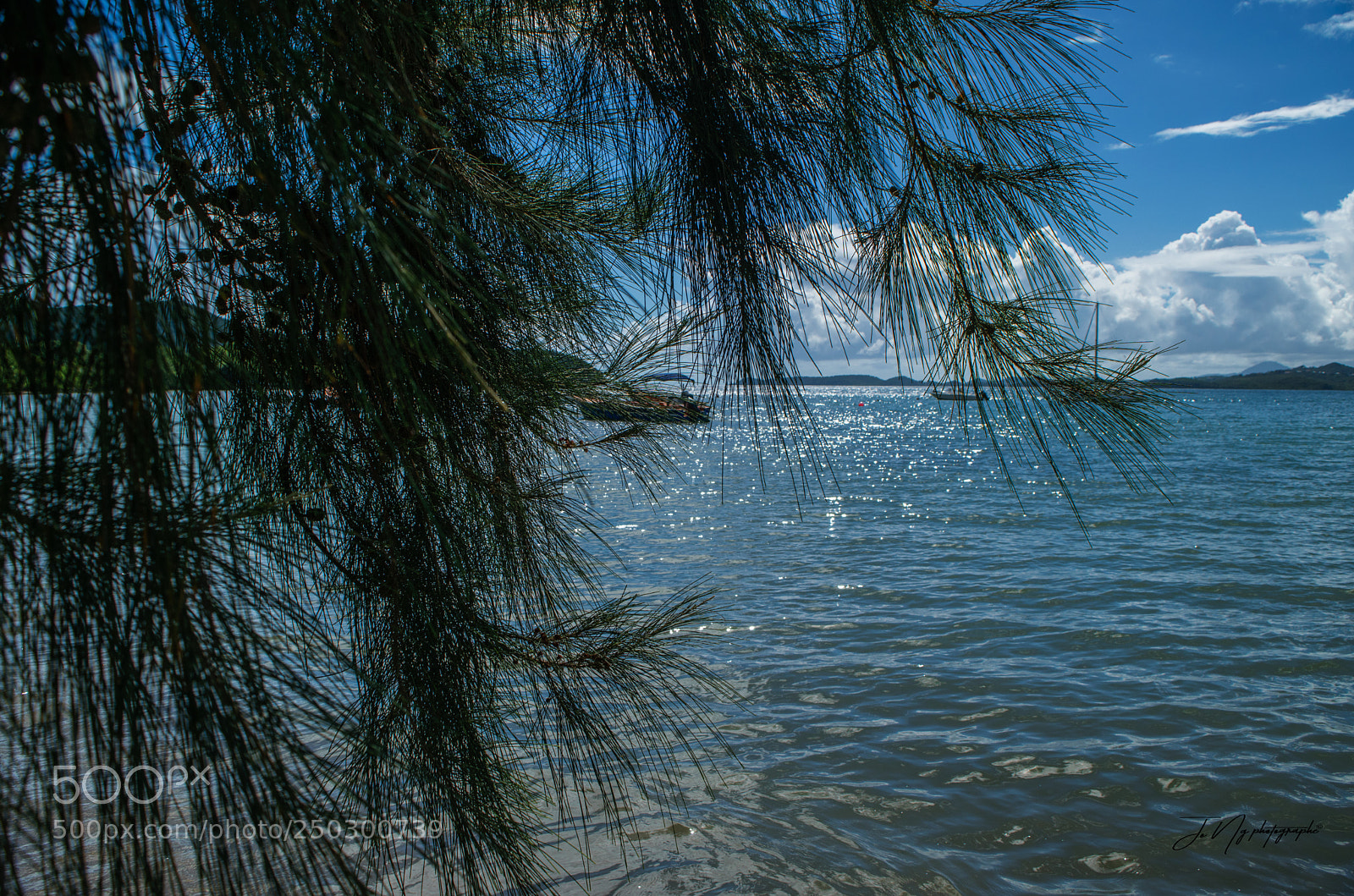 Nikon D3300 sample photo. Tartanebeach photography
