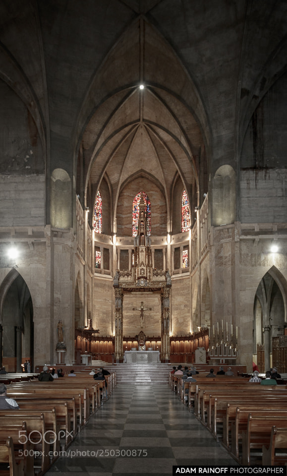 Canon EOS 70D sample photo. Our lady of the photography