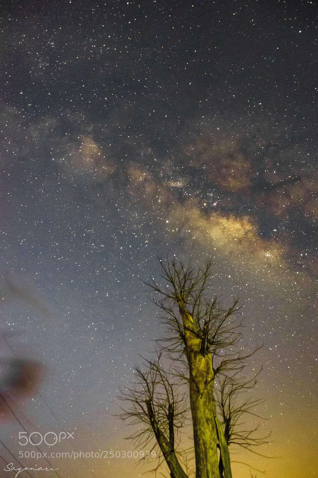 Sony a7 II sample photo. Dsc photography