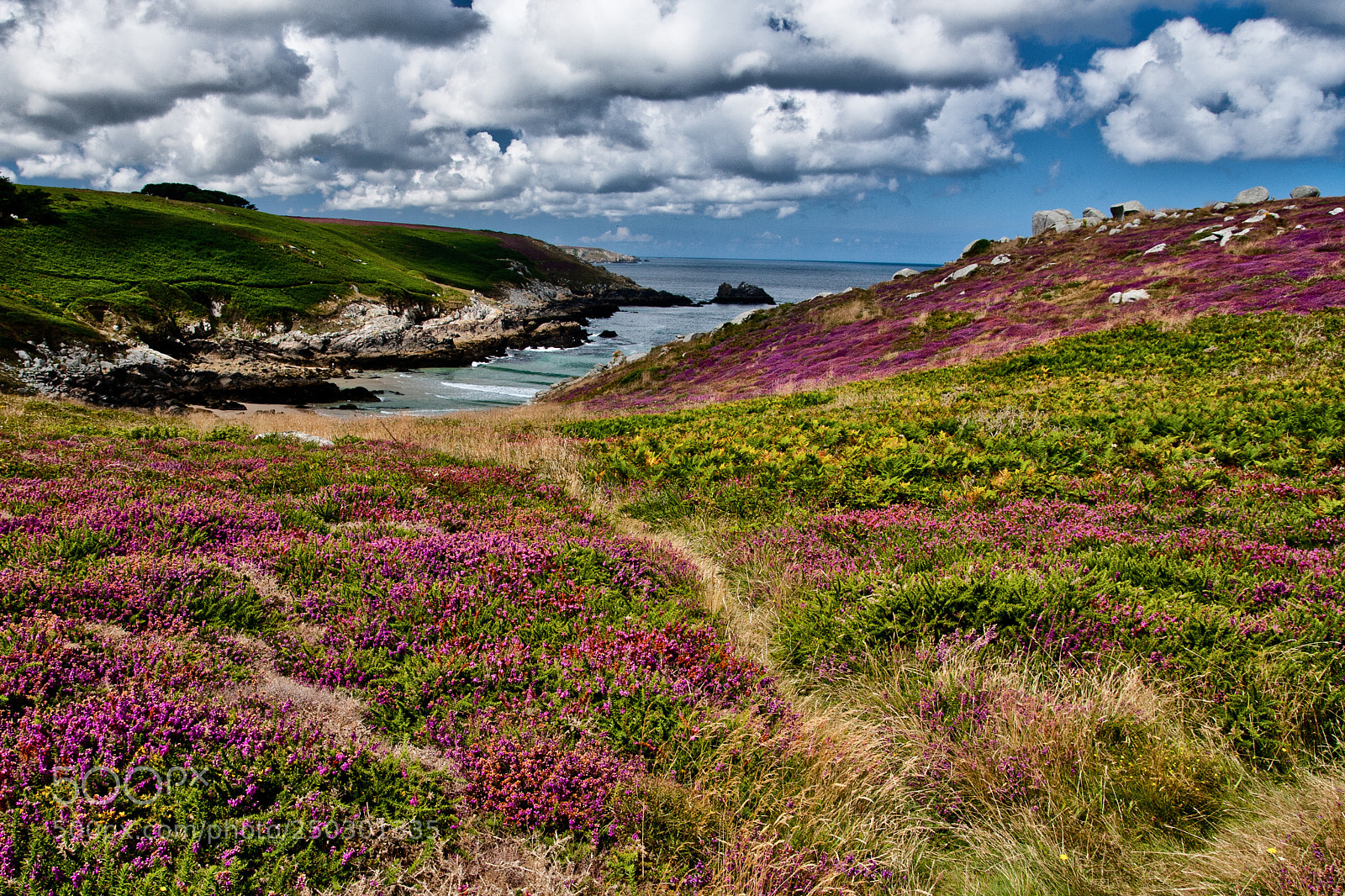 Canon EOS 40D sample photo. Pointe du millier photography