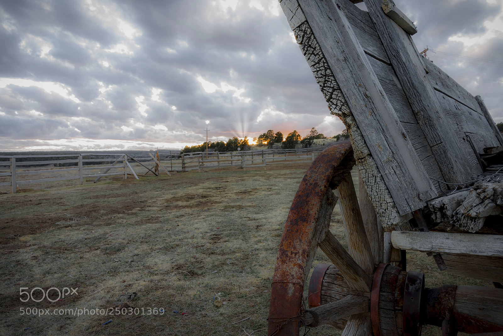 Nikon D800 sample photo. Buffalo ranch zion photography