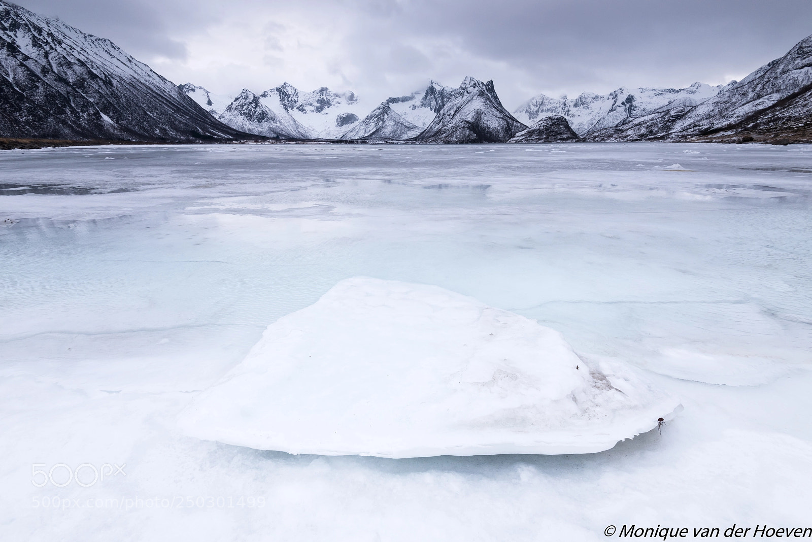 Nikon D810 sample photo. Frozen world (2) photography