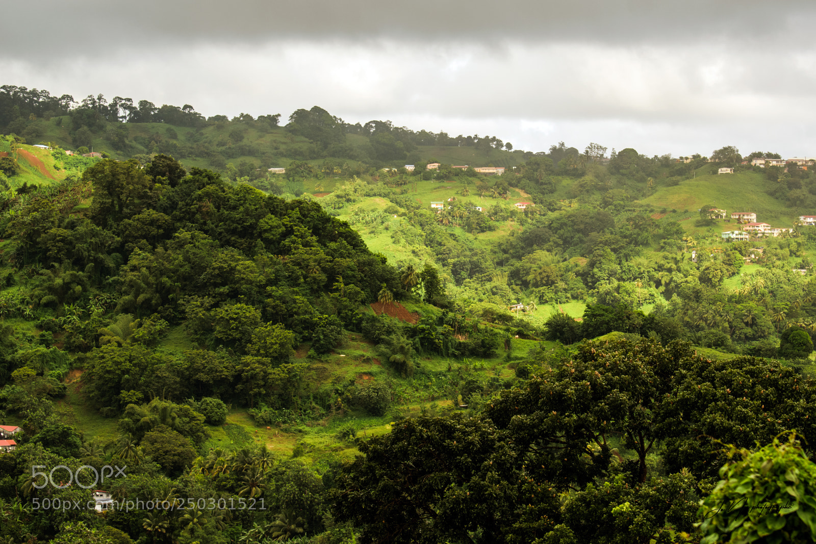 Nikon D3300 sample photo. Campaign martinique photography