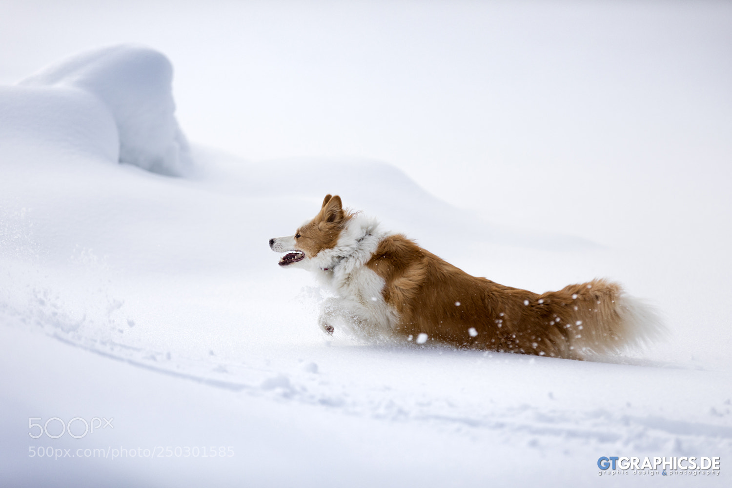 Canon EOS 5D Mark IV sample photo. Snow fun photography