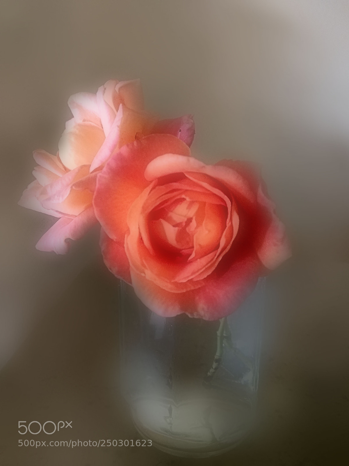 Xiaomi Redmi Note3 sample photo. Spring photography