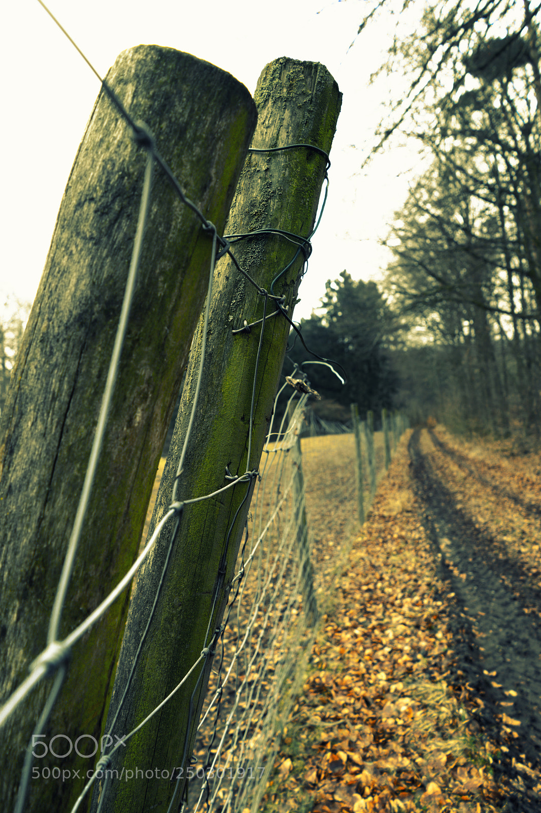 Sony a7 sample photo. Wooden fence at a photography