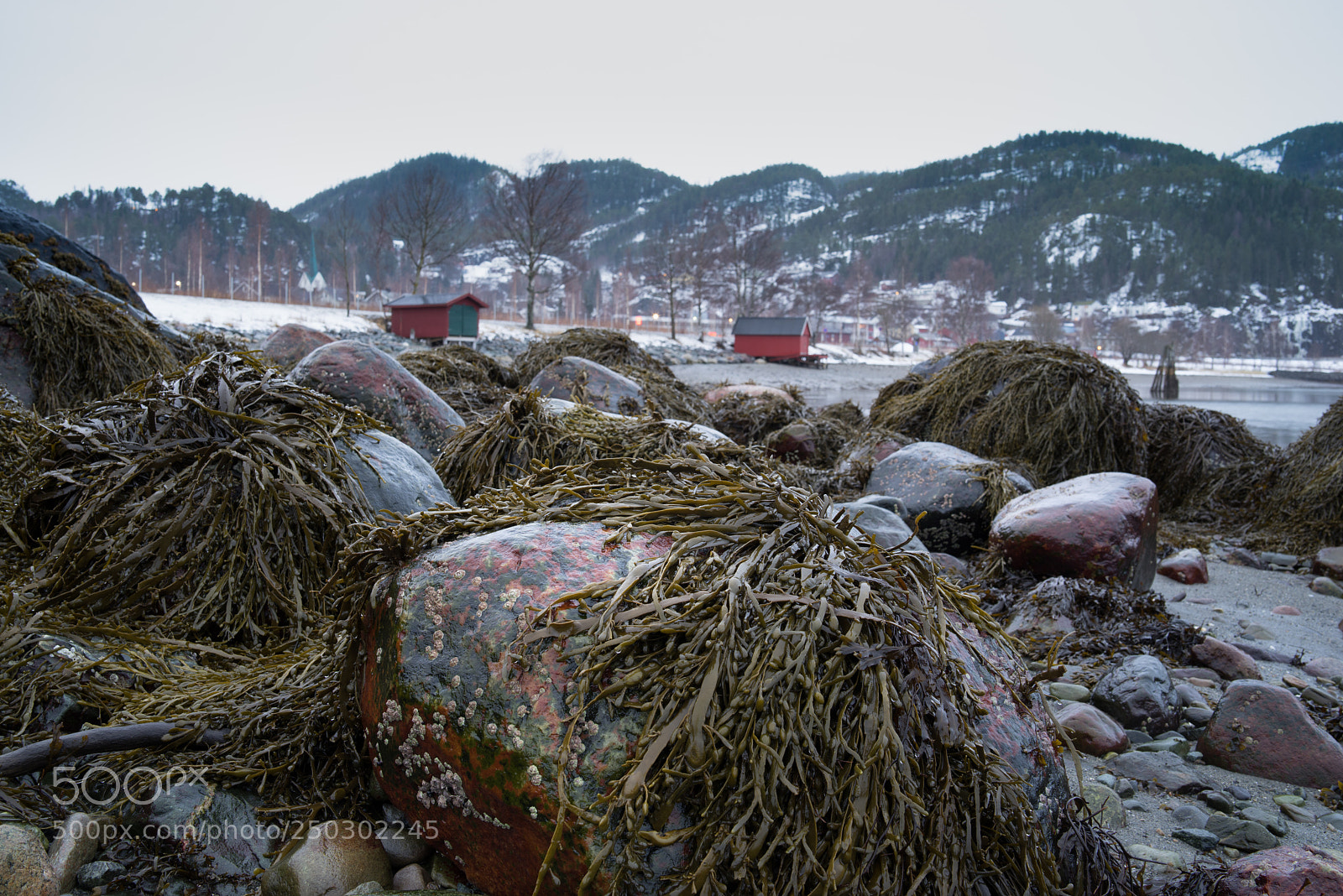 Sony a7R sample photo. Untitled photography