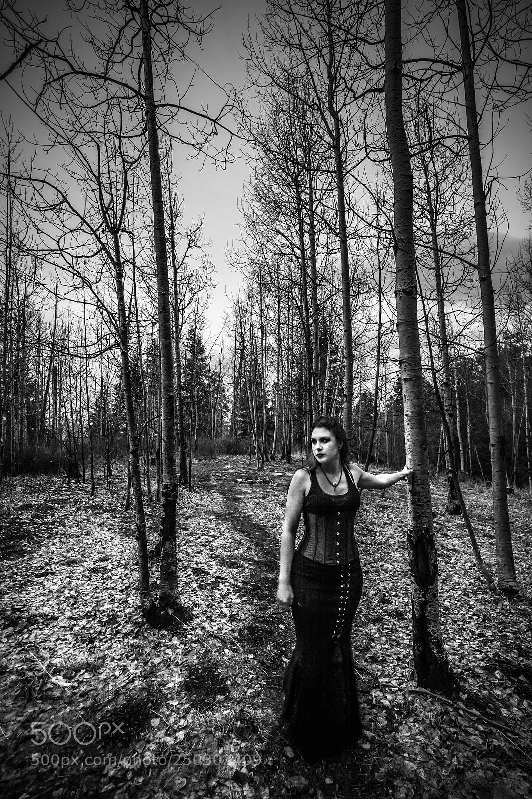 Nikon D7100 sample photo. Dead pathway photography