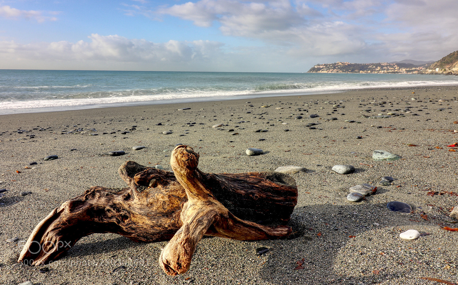 Canon EOS 80D sample photo. Wood photography