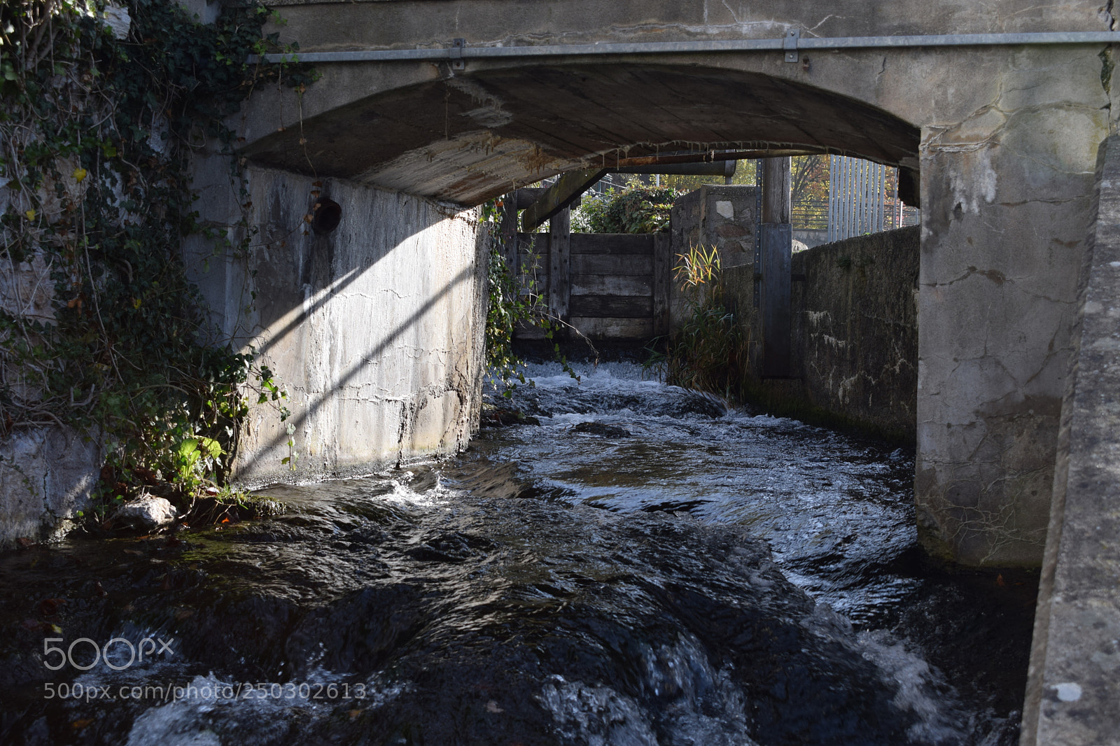 Nikon D3300 sample photo. Rhine falls photography